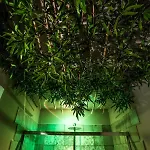 Vinto House Downtown بيت ضيافة 4*