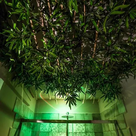 Vinto House Downtown בית הארחה 4*