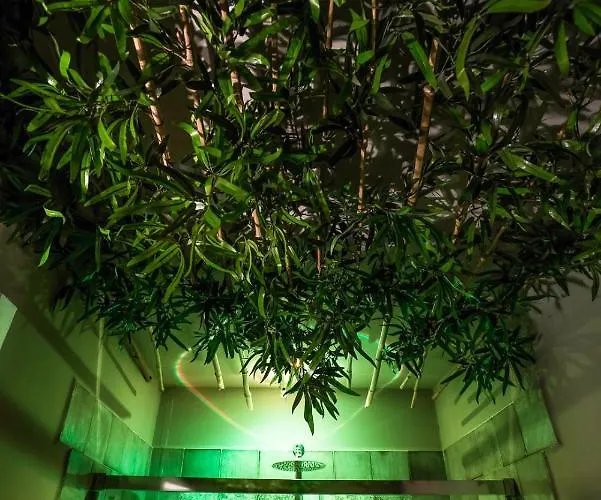 Vinto House Downtown بيت ضيافة 4*
